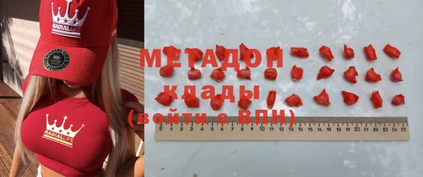 гашик Алексин