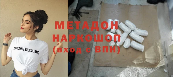 гашик Алексин