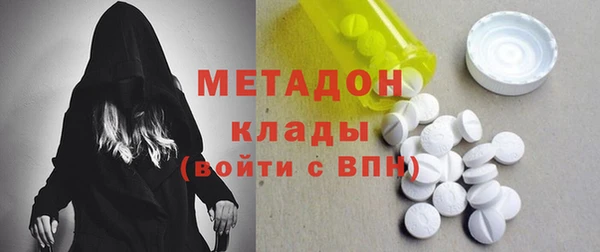 гашик Алексин