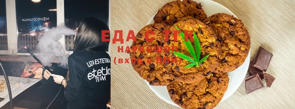 гашик Алексин
