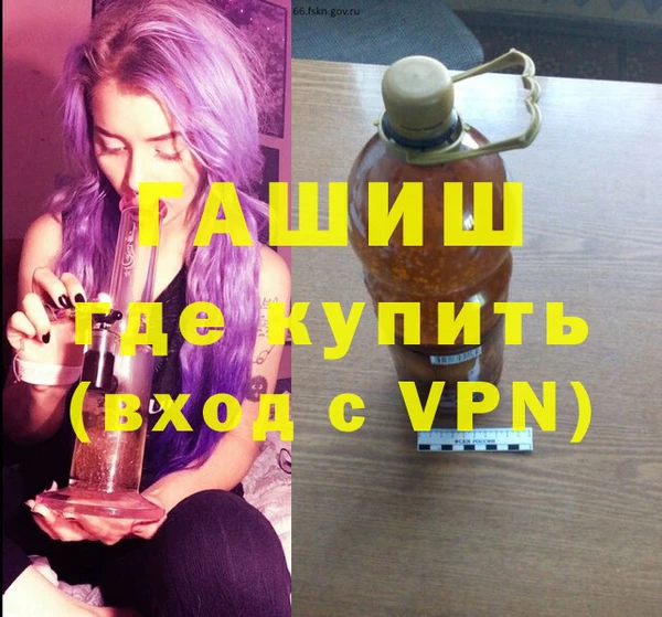 гашик Алексин