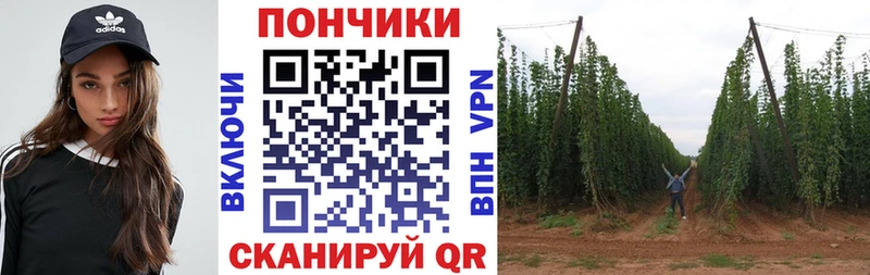 MEGA рабочий сайт Макушино Конопля SATIVA & INDICA